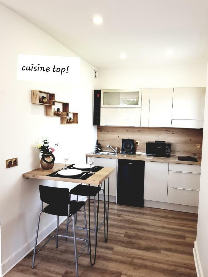 Apartamento Francois 1Er Au Manoir Grenoble Habitación foto